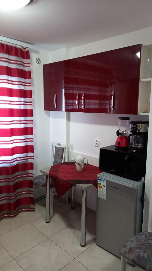 Garsoniera Natalia Daire Sibiu Dış mekan fotoğraf